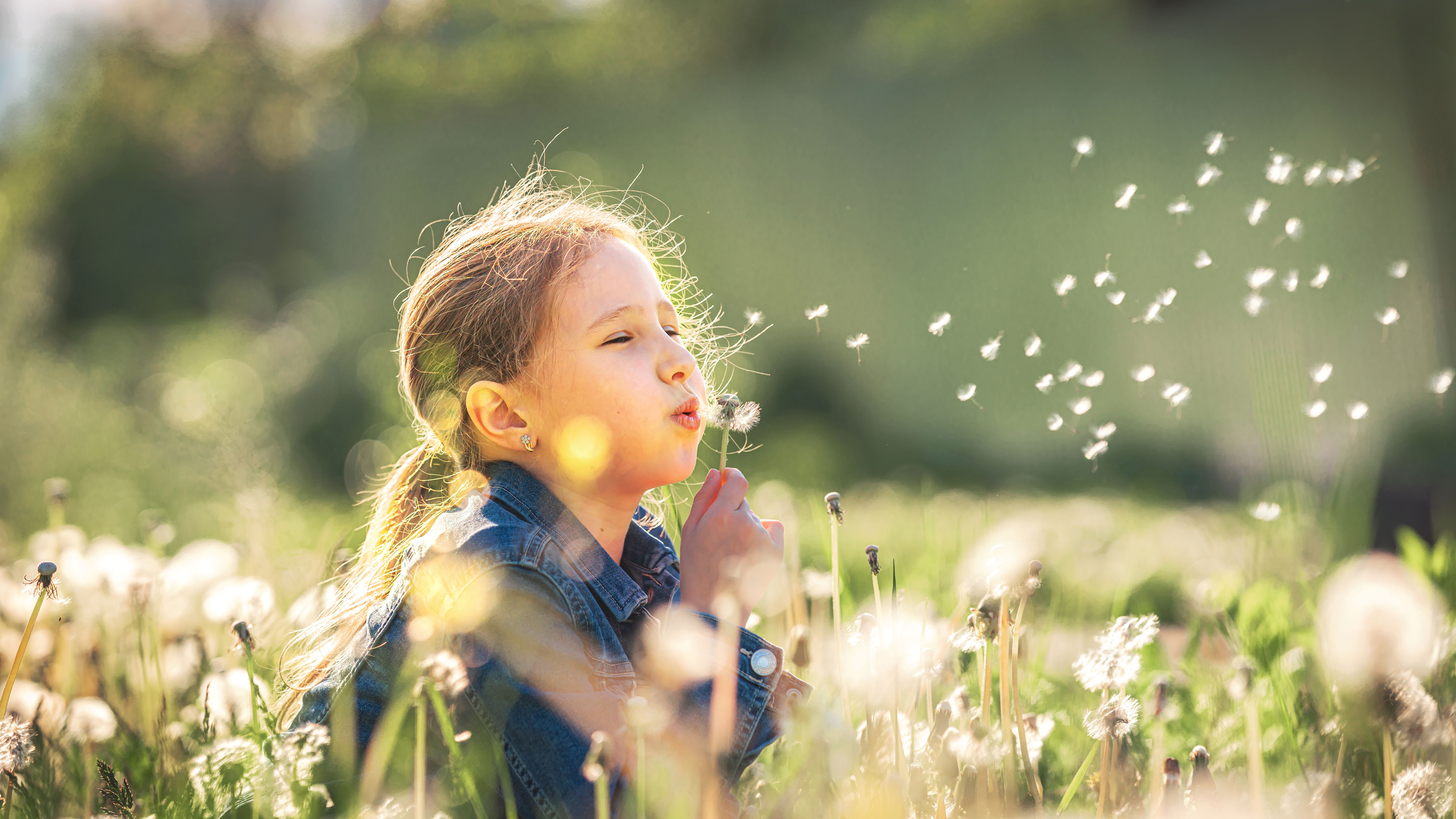 Ein Mädchen sitzt auf einer Wiese und pustet die Samen einer Pusteblume in die Luft
